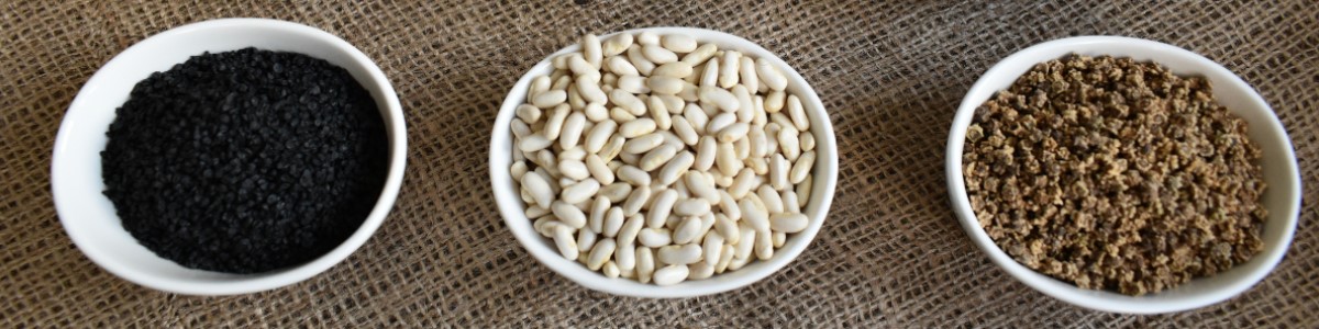 semillas de plantas semillas de hortalizas semillas de flores