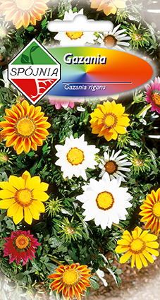 PLANTICO semillas de plantas semillas de hortalizas semillas de flores
